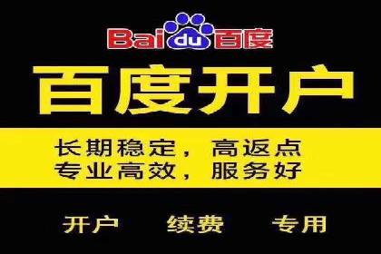 专业SEM代运营推广公司成功案例分享